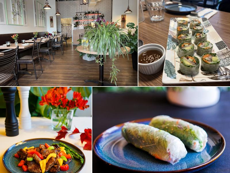 Chats Vietnamese 3243 Quance St, Regina