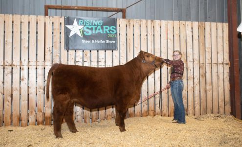 Tangle Ridge Ranch Thorsby