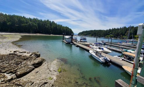 Telegraph Harbour Marina Thetis Island