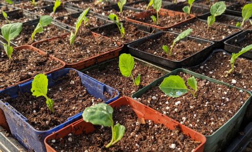 Jollity Farm 90 Pilkey Point Rd, Thetis Island British Columbia V0R 2Y0