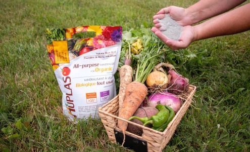 Huplaso 19 Rue Duclos, Saint-Isidore New Brunswick E8M 1N3