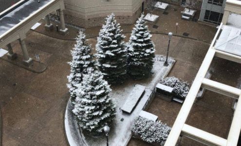 S TAYLOR HANDYMAN SERVICES INC 17468 Nova Scotia Trunk 7, Tangier Nova Scotia B0J 3H0