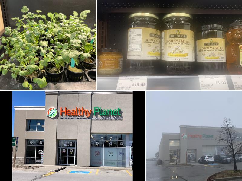 Healthy Planet - Ancaster 821 Golf Links Rd #1a, Ancaster