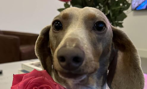 CIBC Mortgage Advisor: Natalie Gonzalez