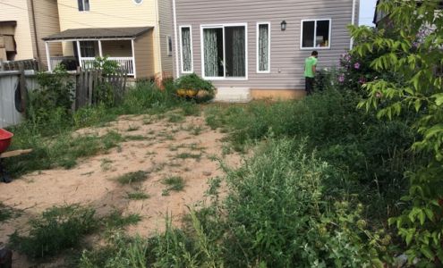 Terra Verde Landscaping