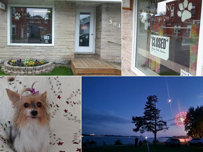 Sunny Countryside Grooming