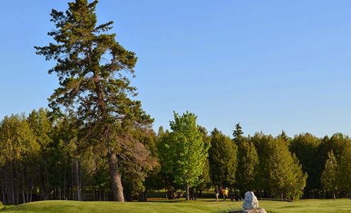 Golf au Lac St-Jean de Chambord Chambord