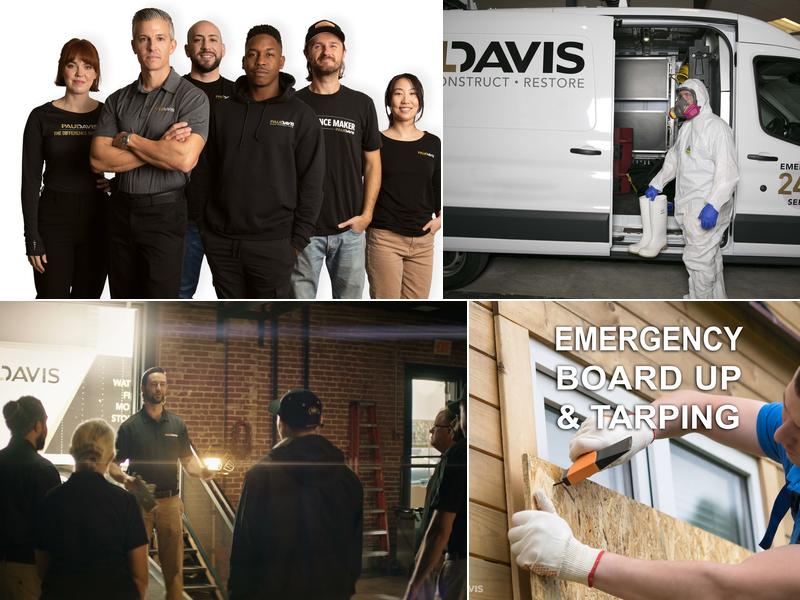 Paul Davis Northeast New Brunswick