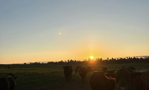 Ferme Lavoie Banville / Bergerie Faubourg 5 chemin du cinquième rang est, Saint-Narcisse-de-Rimouski Quebec G0L 4E0
