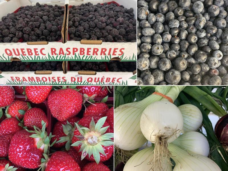 Bleuetière Saint Bernard