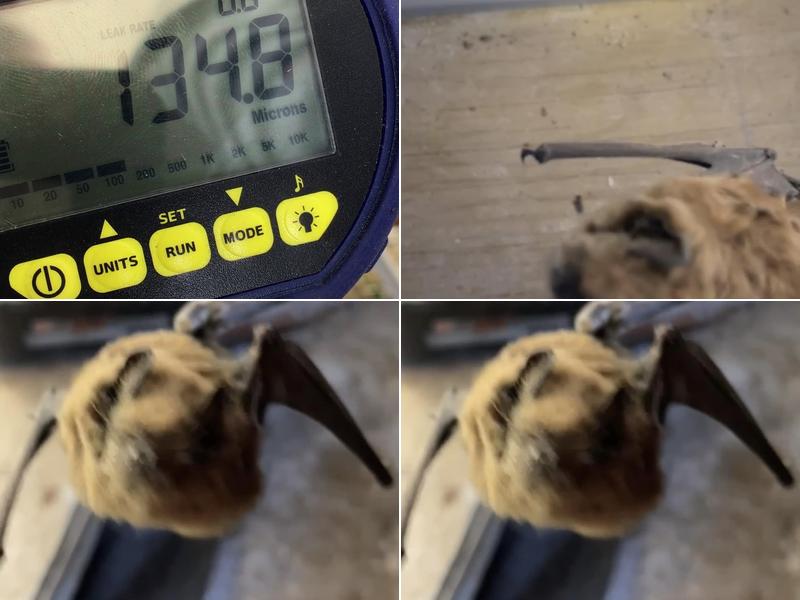 Versatile Plumbing and Heating Inc.