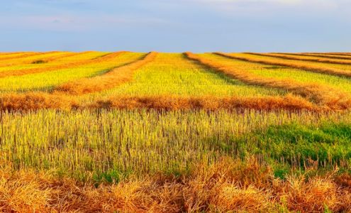 Byron Fichter Fotography 1231 4 St, Estevan Saskatchewan S4A 0W8