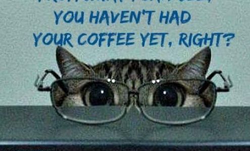 Shear Success Hair Salon 119 Ellice St, Rocanville Saskatchewan S0A 3L0