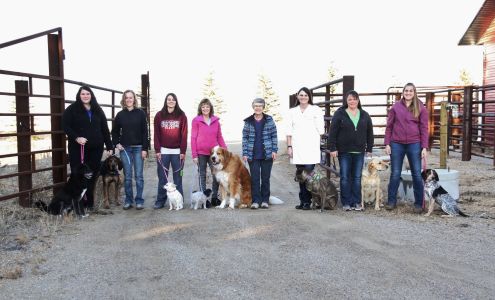 Stoughton Veterinary Services Hwy 47, North St, Stoughton Saskatchewan S0G 4T0