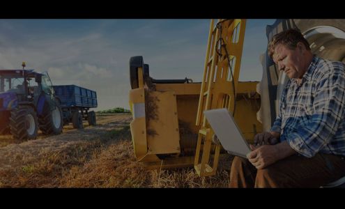 My Mutual Insurance Waldheim