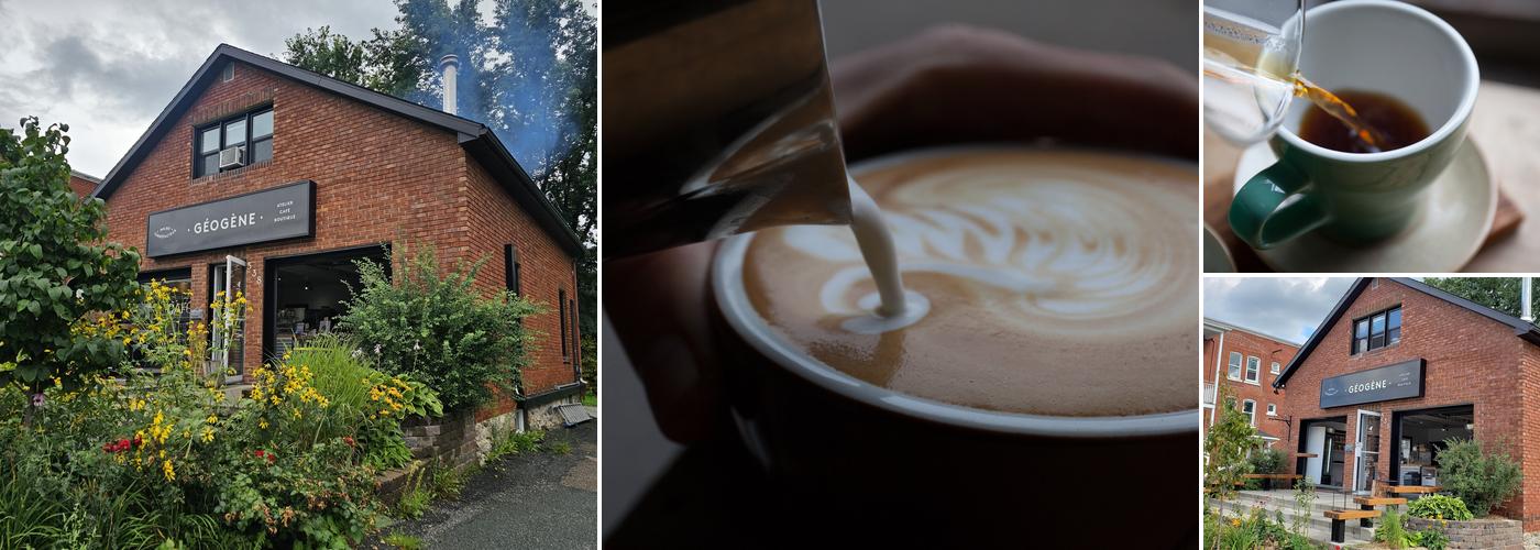 Géogène Micro-torréfacteur