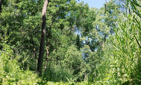 Buena Vista County Park Peterson