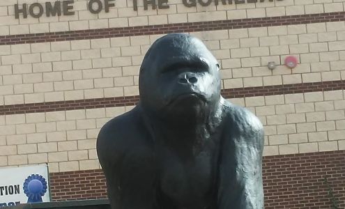 Trent High School Trent