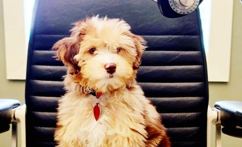 North Point Eye Care