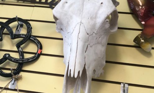 Big Sandy Feed Wikieup