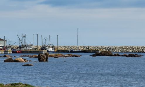 Harbour Authority of Musgrave Musgrave Harbour