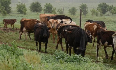 Wagon Creek Ranch 11690 County Rd 710, Helena Oklahoma 73741