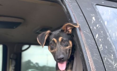 ATM (Gator Junction Grocery) Wallisville