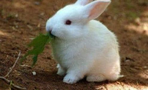 Northern Lights Clinic 3200 Shore Dr, Marinette Wisconsin 54143