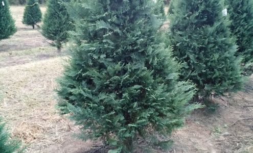 Bass Poultry Farm 551 Delancy-Robbins Rd, Columbia Mississippi 39429