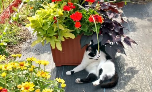 Graceland Farm Market