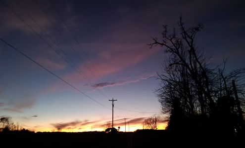 Elk County Elk Farm Ridgway