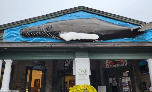 Oli's Trolley Gift Shop