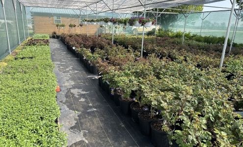 Clarita Greenhouse Coalgate