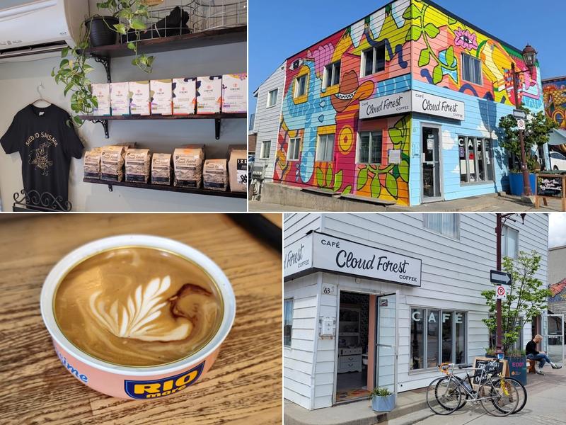 Café Cloudforest 63 Eddy St, Gatineau