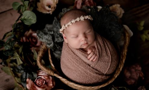 Wood and Lace Photography, LLC