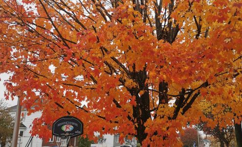 Contraste Photo+Vidéo