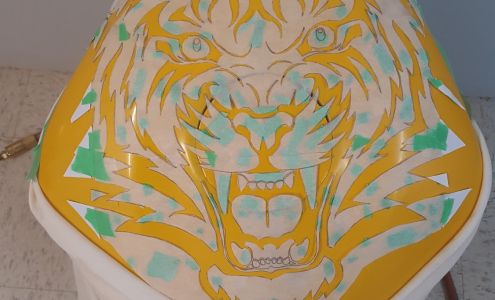 Thunder Bay Orthopaedic Inc Thunder Bay