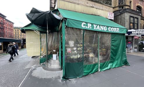 C P Yang Corporation