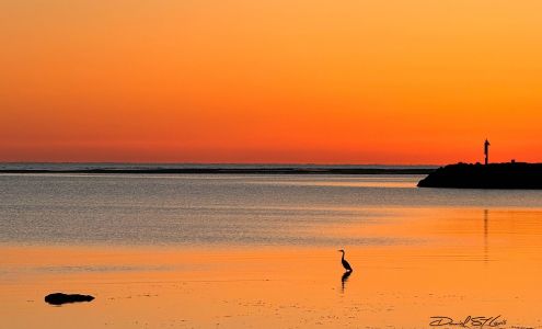 Daniel St Louis Photographic Arts