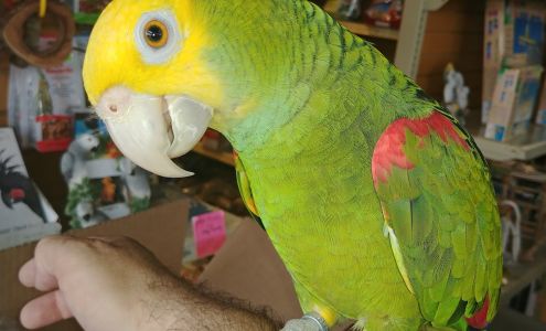 Les galleries Blainville