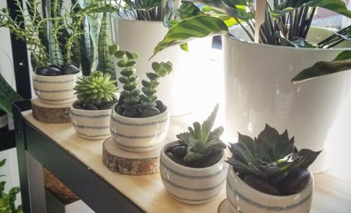 Aux Pétales de Rose 53 Rue du Pont, Amqui Quebec G5J 2P4