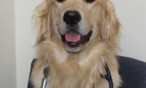 Coastal Maine Internal Medicine 247 Commercial St, Rockport Maine 04856