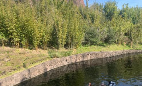 Animal Planet Veterinary Hospital: Ditrapani Jennifer DVM 1626 SE Port St Lucie Blvd, Port St. Lucie Florida 34952