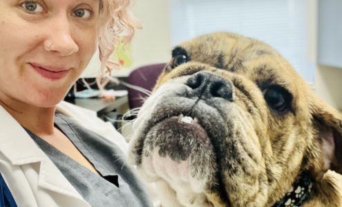 Grace Veterinary Center