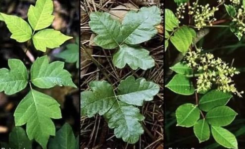 New River Breathing Center 337 Old Scarbro Rd, Scarbro West Virginia 25917