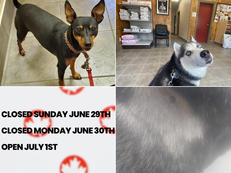 Quesnel Veterinary Clinic