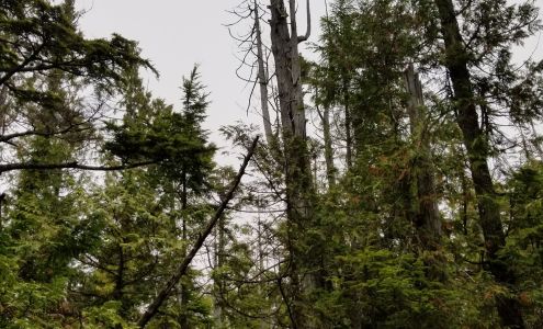 Tofino Community Hall and Emergency Reception Centre Tofino