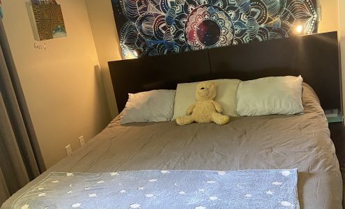 Sleep Country Canada