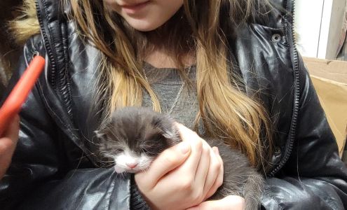 Peshtigo Feed Mill Peshtigo