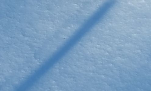 Xfinity Store by Comcast